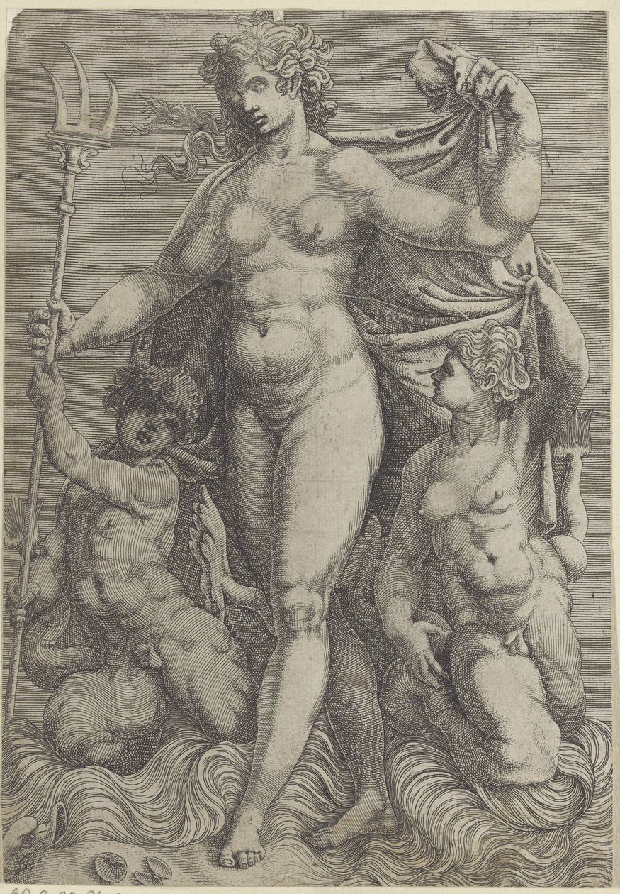 Thetis med to tritoner Neptun og Thetis med havguder og havheste (serietitel) af Perino del Vaga