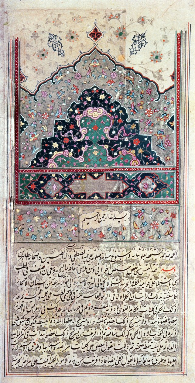 Side fra medicinkanonen af Avicenna (Ibn Sina) 1632 af Persian School