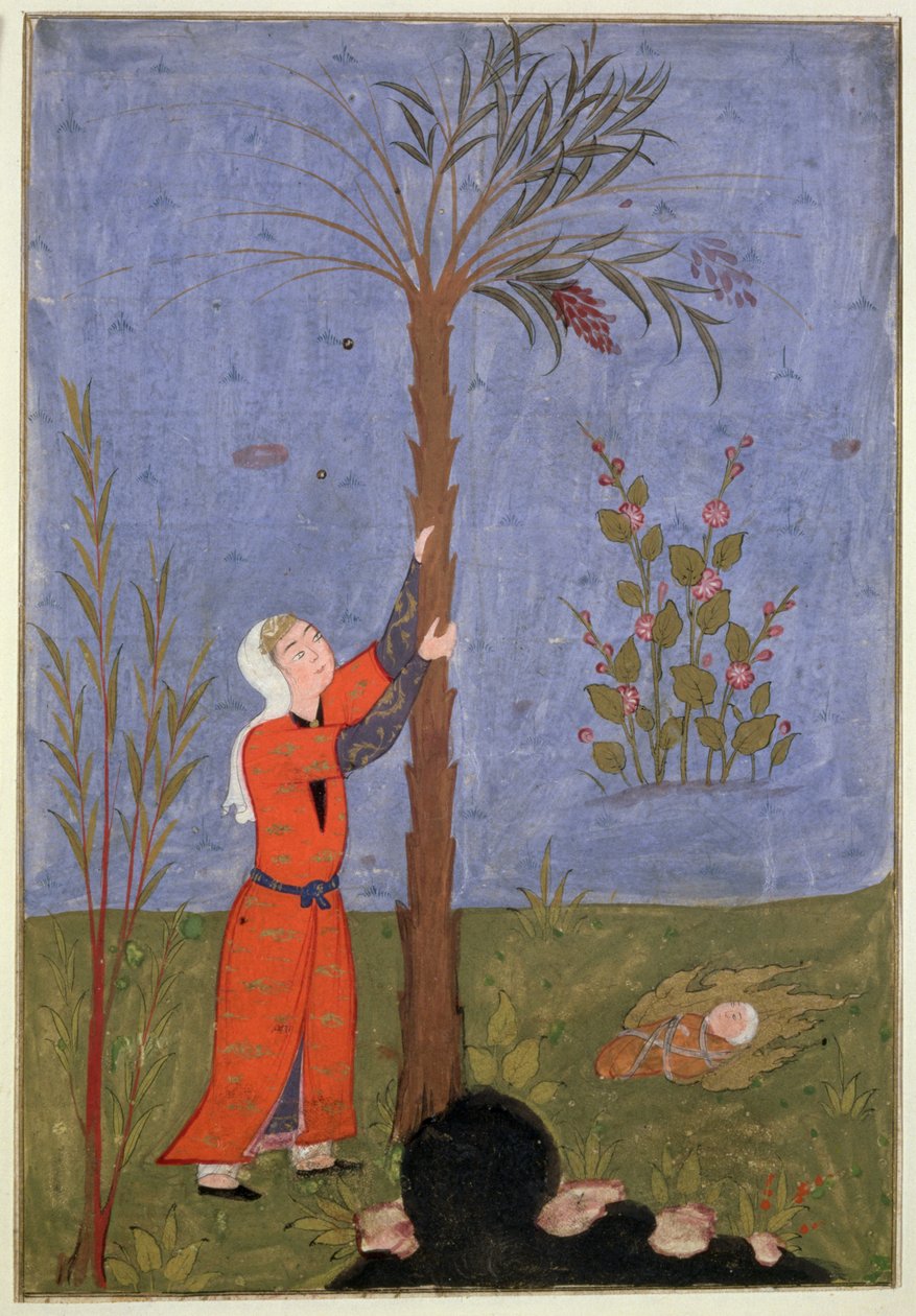 53(d) Mary Gripping the Dadelpalme, persisk miniature, Qazvin af Persian School