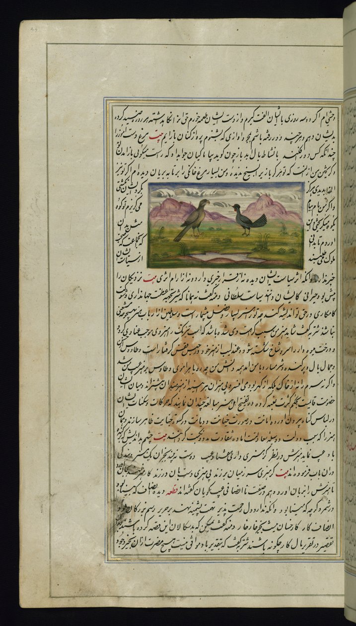 En høg og en høne fra Lights of Canopus af Persian School