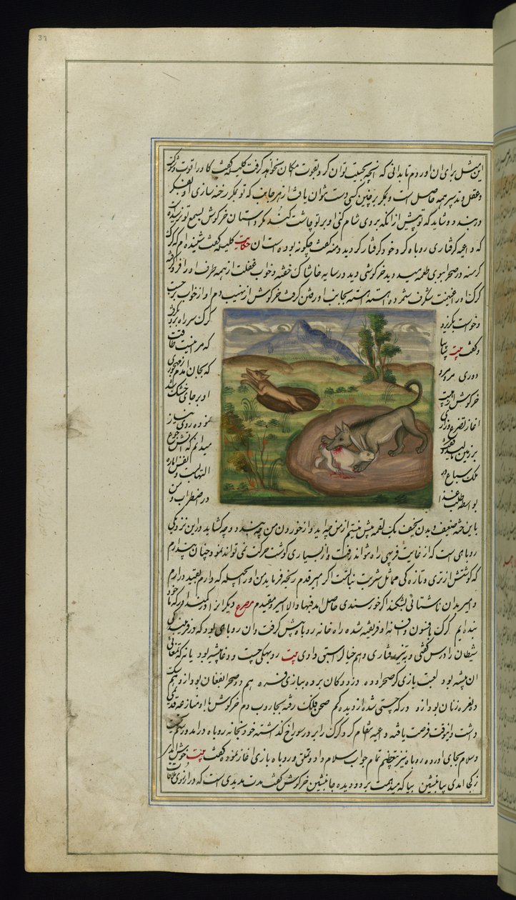En sjakal fortærer en hare fra Lights of Canopus, 1847 af Persian School