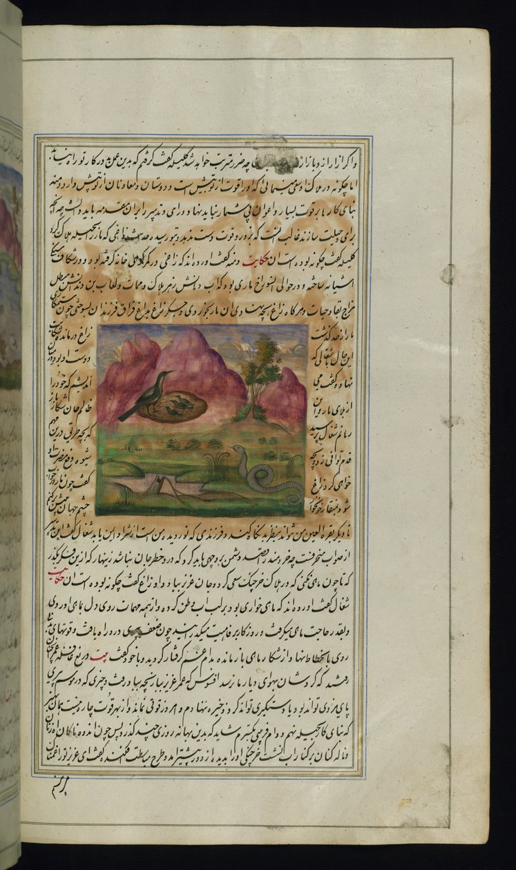En slange og en krageunger fra Lights of Canopus af Persian School