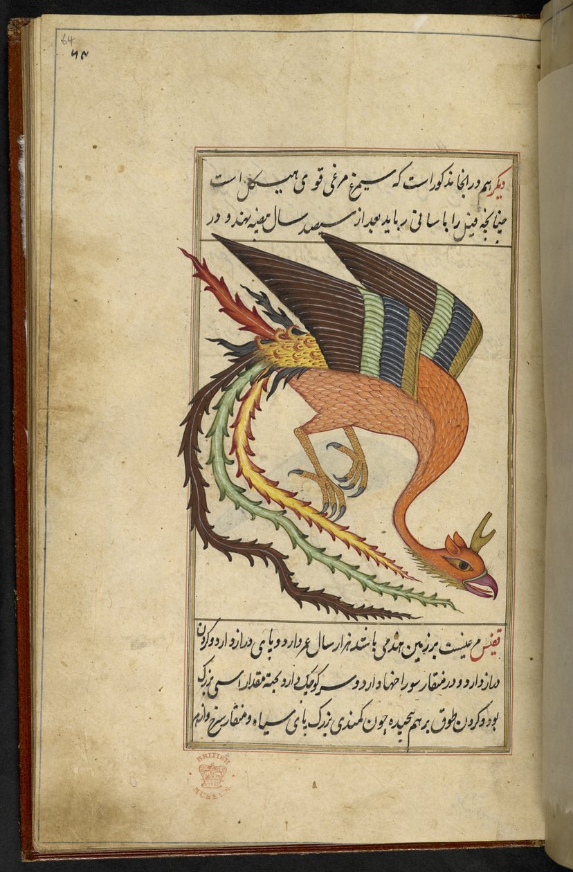 Tilføj MS 15241 f.64r Simurgh, en iransk tordenfugl, fra 