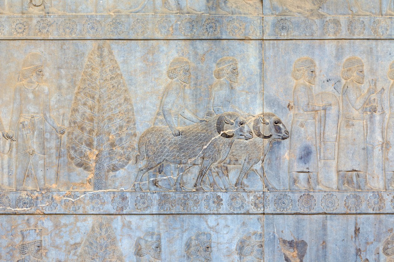 Basrelieffer ved væggene i Apadana-paladset og -trappen, Persepolis, Iran (sandsten) af Persian School