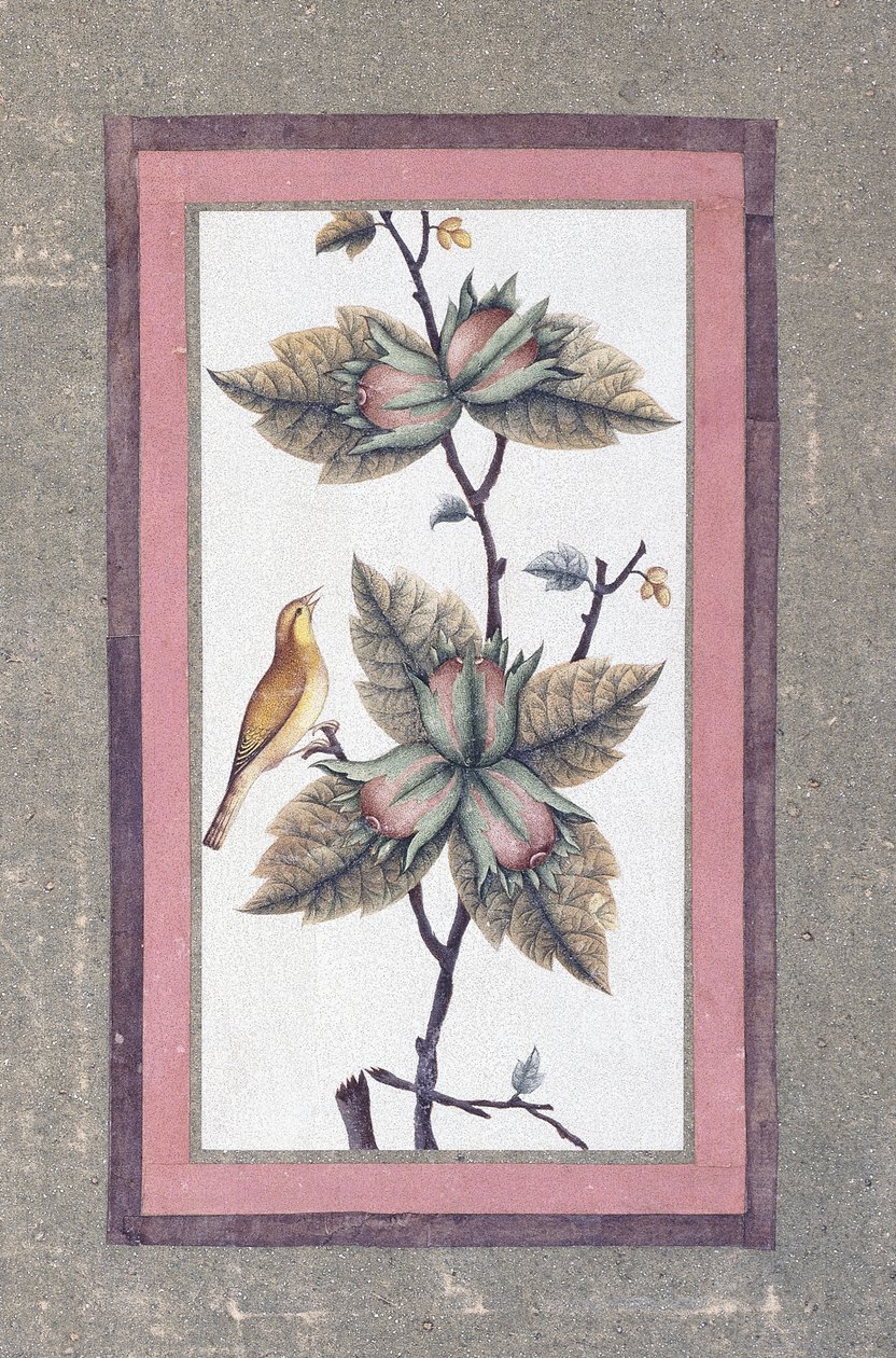 Fugle- og blomsterstudie, c.1780 af Persian School