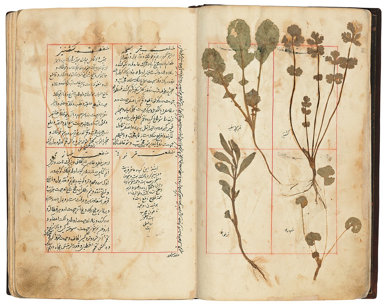Hassan Bin Baqir Bin Jarrah: Ghalzar Al-Raihain, Qajar Iran af Persian School