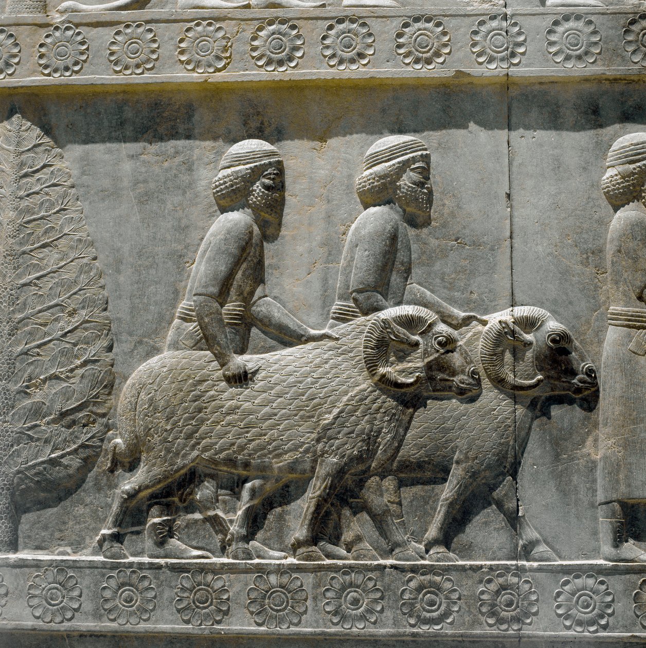 Sogdians bringer gaver til Darius I. Relieffer af den østlige trappe af Apadana, 6. århundrede f.Kr af Persian School