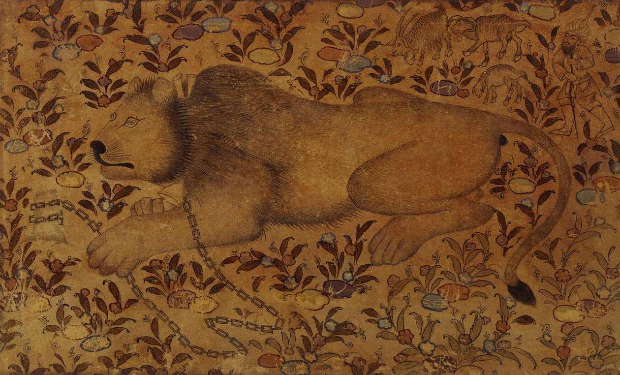 Studie af en løve, 1500-tallet af Persian School