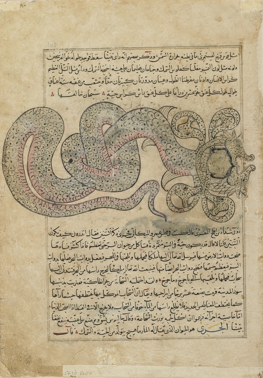 The Sea-SerpentDragon (al-Tannin), folio fra Ajaib al-makhluqat (Skabelsens Vidundere) af al-Qazvini, Irak eller det østlige Tyrkiet (ugennemsigtig akvarel, blæk, guld og sølv på papir) af Persian School