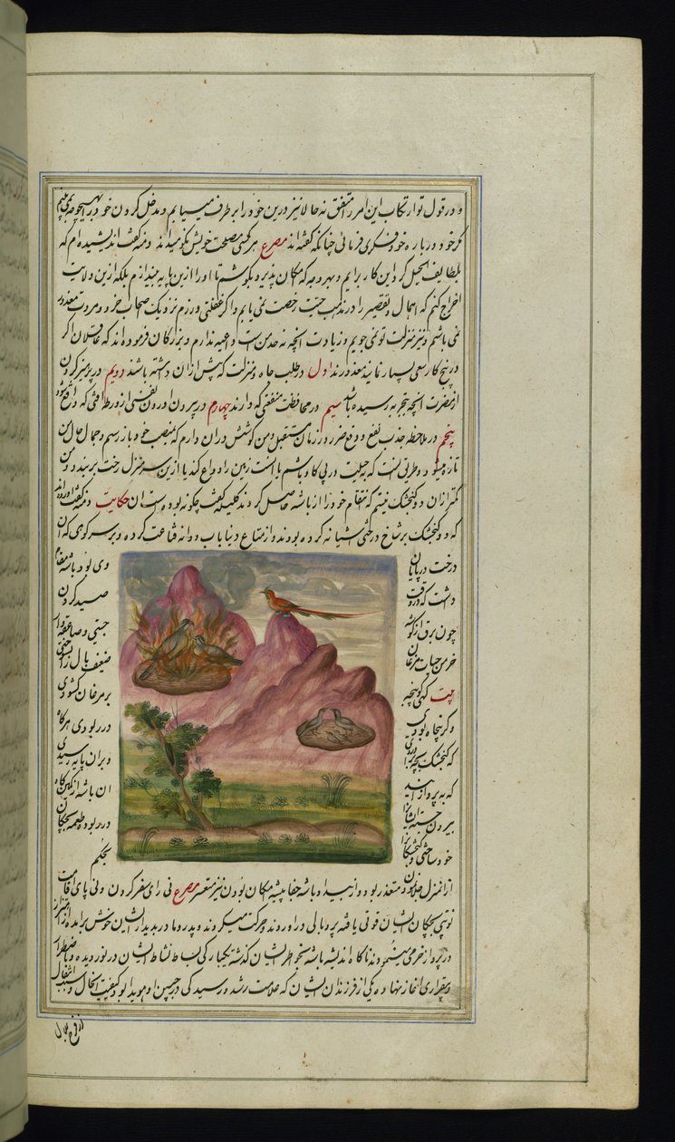 To gråspurve sat i brand og en falk fra Lights of Canopus af Persian School