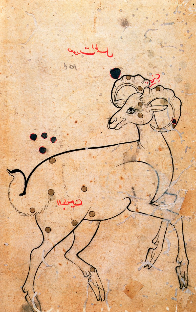 f.154a Vædderen, vædderen, persisk, fra Isfahan eller Shiraz, ca. 1600 (blæk på papir) af Persian School