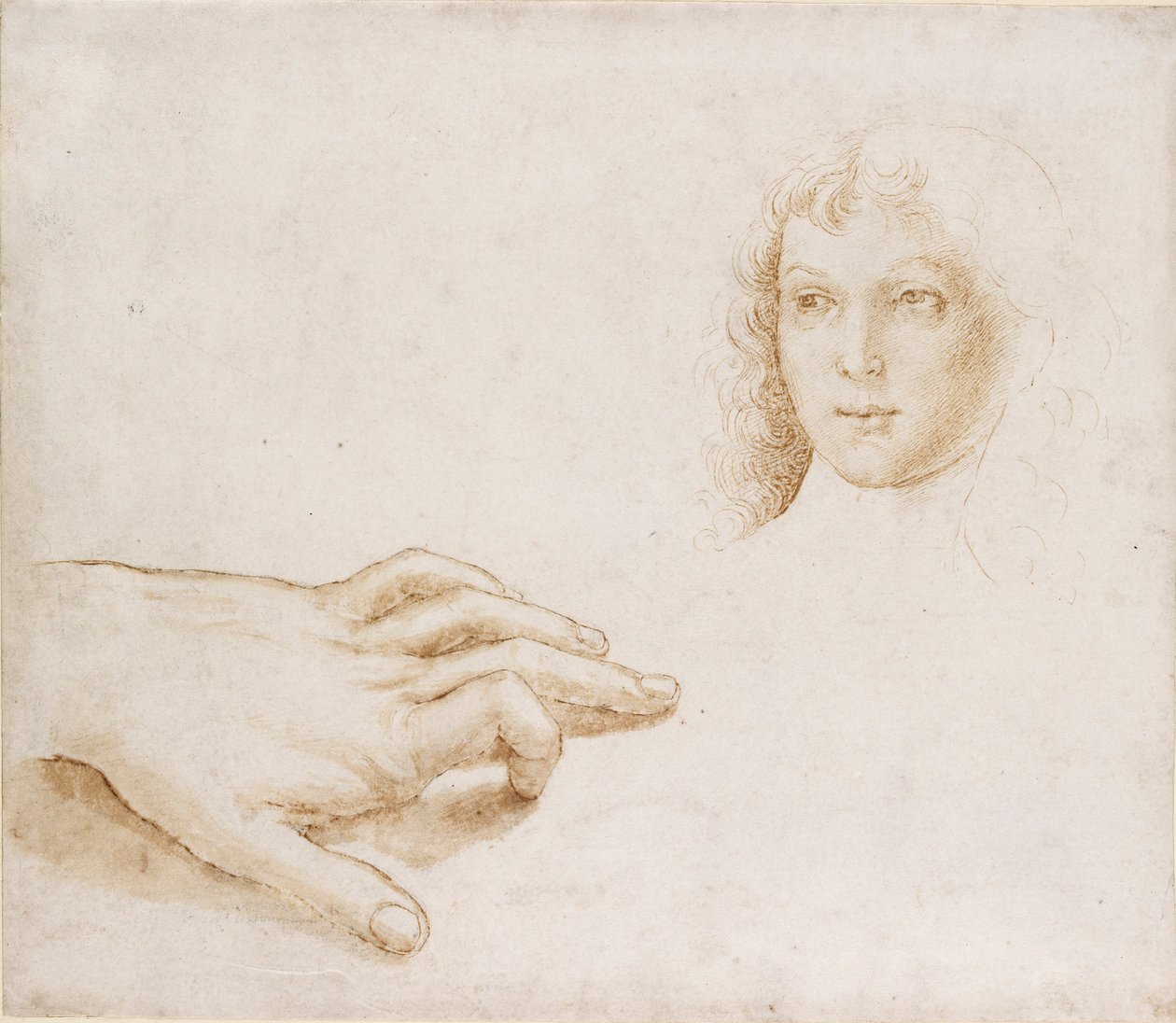 Studier af et hoved og en hånd, slutningen af det 15.-begyndelsen af det 16. århundrede af Perugino