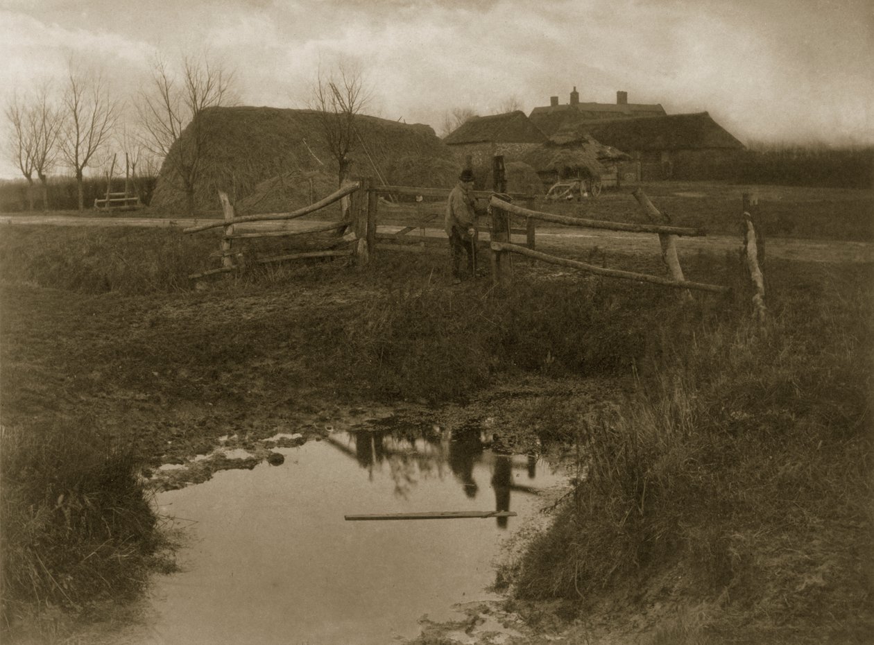 En sumpgård, ca. 1886 (foto) af Peter Emerson und Thomas Goodall