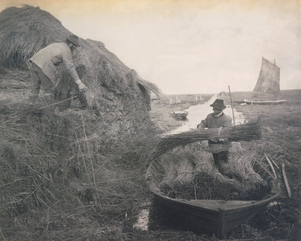 Række i røret, liv og landskab på Norfolk Broads, ca. 1886 af Peter Emerson und Thomas Goodall