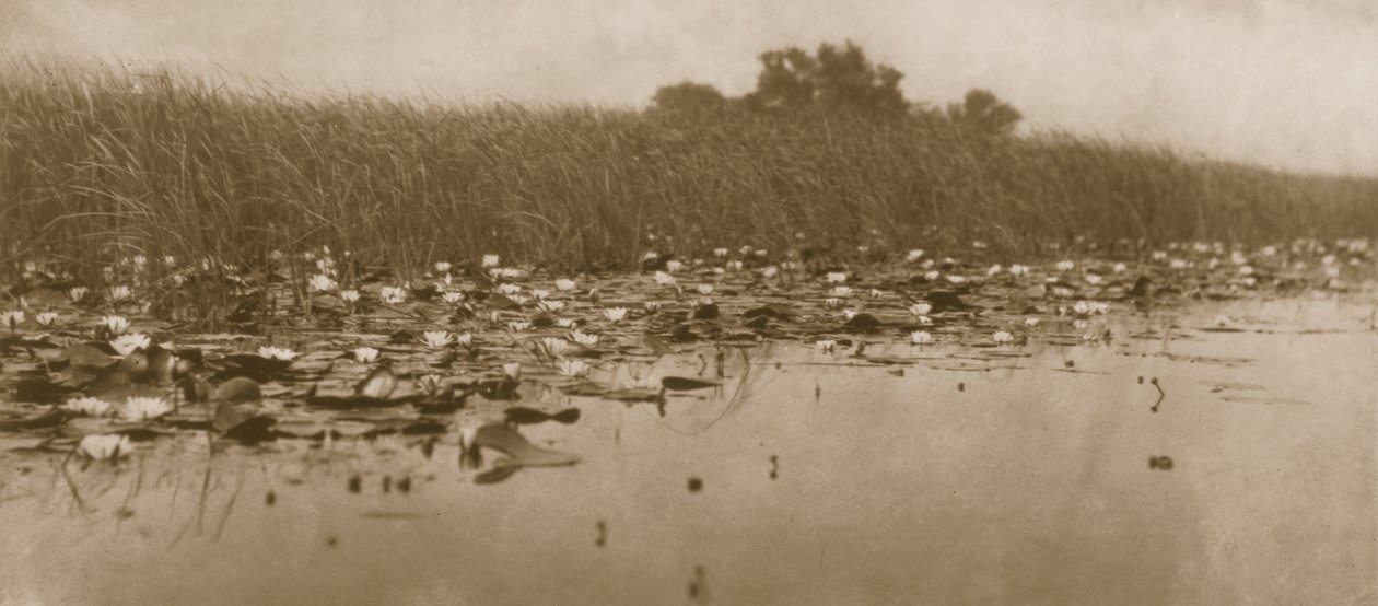 Åkander, liv og landskab på Norfolk Broads, 1886 af Peter Emerson und Thomas Goodall