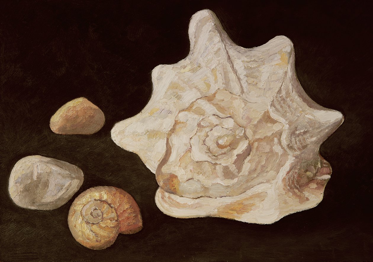 Conch Shell, 1995 af Peter Davidson