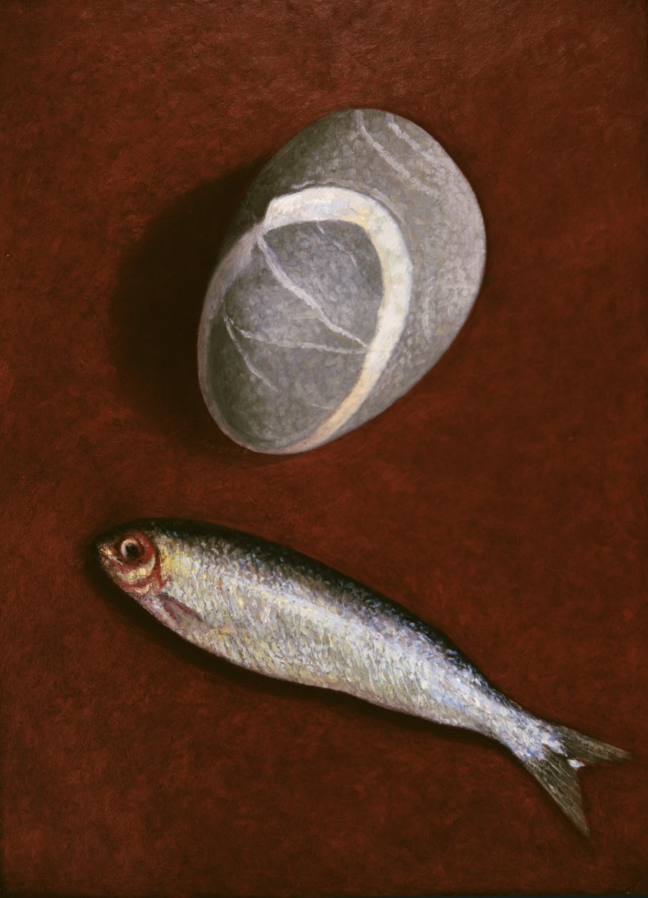 Fish and Rock Form, 1997 af Peter Davidson