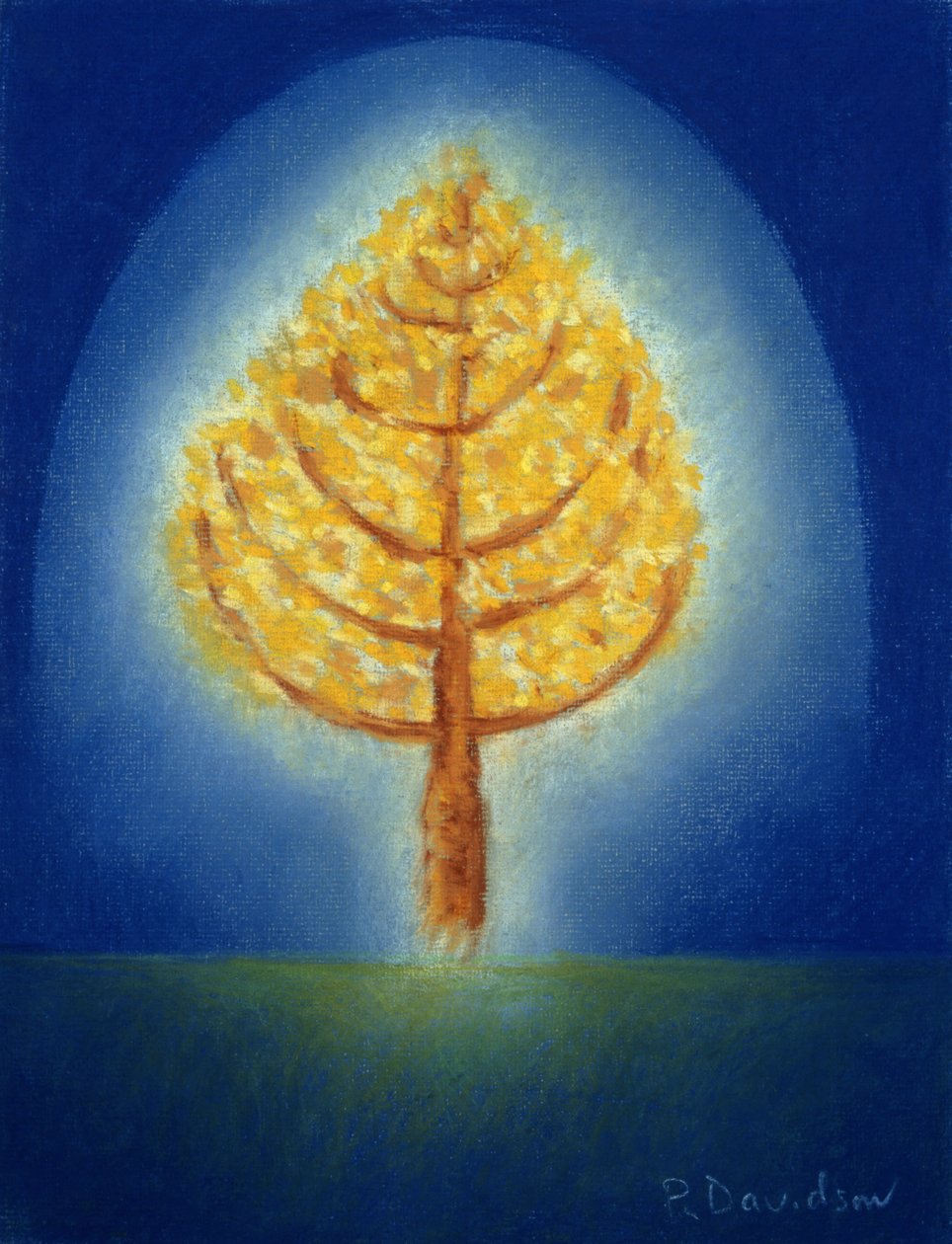 Glowing Tree, 1996 (pastel) af Peter Davidson