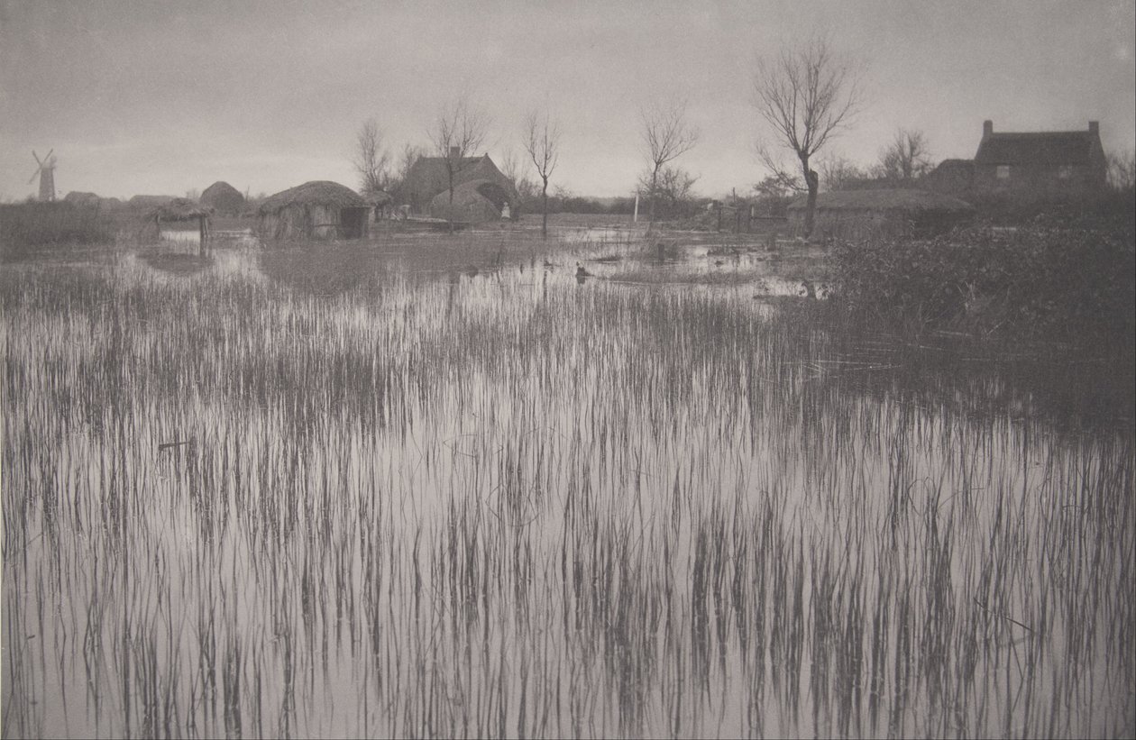 A Rushy Shore, plade XXXV fra Life and Landscape on the Norfolk Broads af Peter Henry Emerson