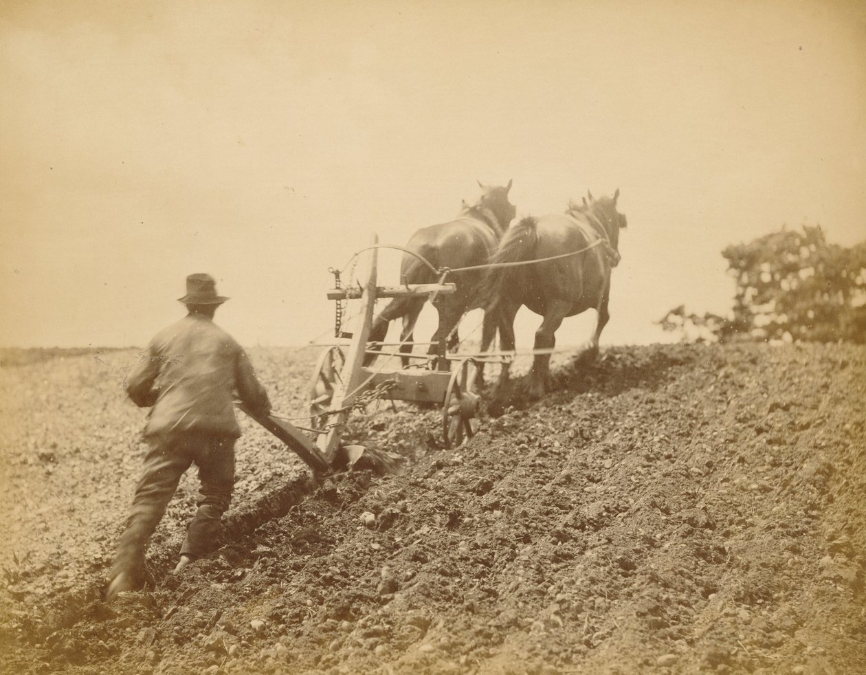 Et stift træk af Peter Henry Emerson