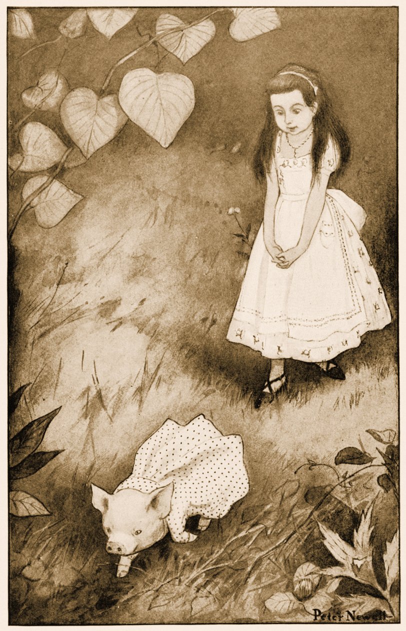 "Så hun satte det lille væsen ned", illustration til Lewis Carrolls Alice