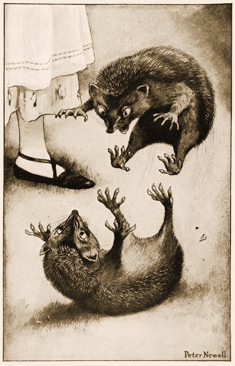 "Hedge-hog var engageret i et slagsmål med et andet pindsvin", illustration til Lewis Carrolls Alice