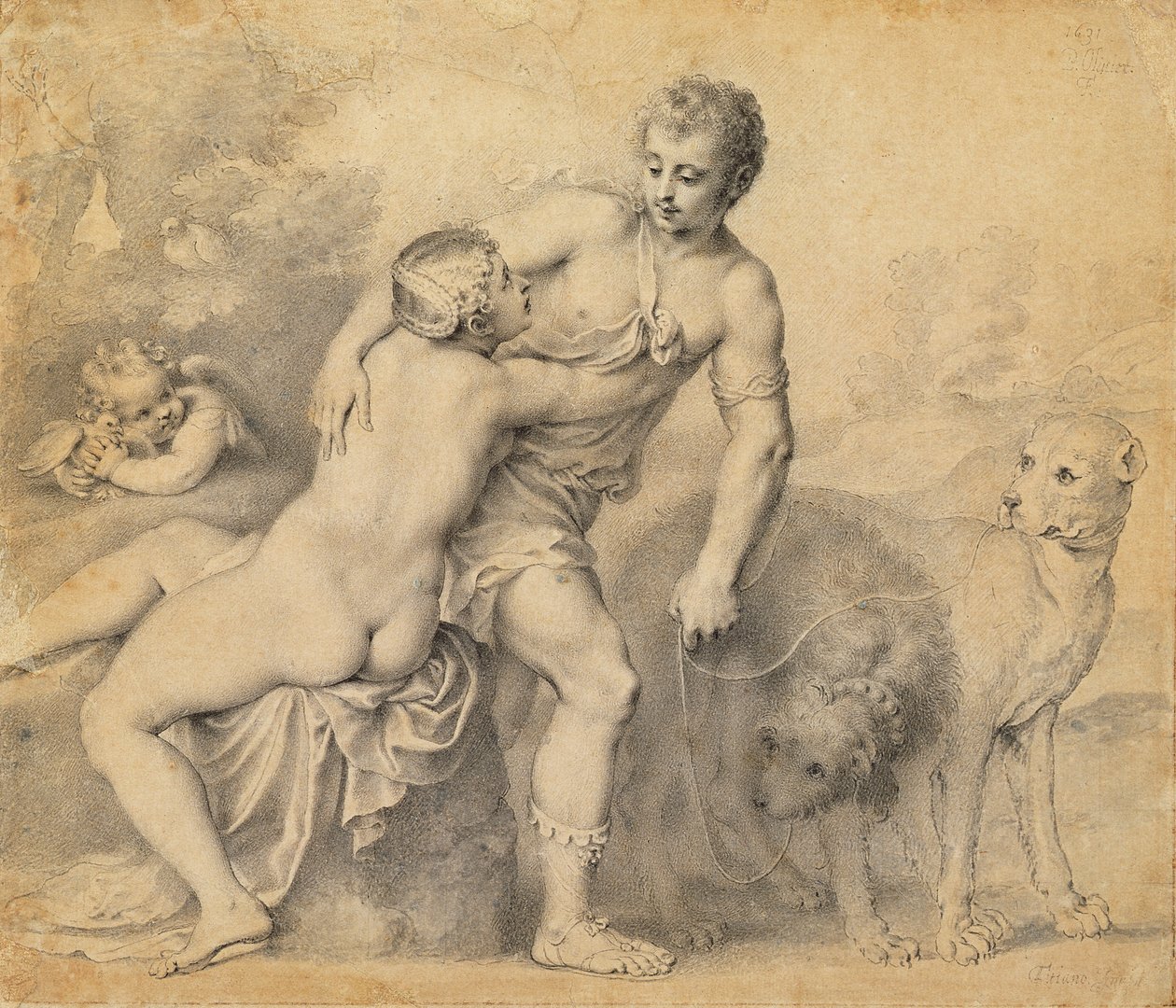 Venus og Adonis, 1631 (pen og blæk med vask på papir) af Peter Oliver