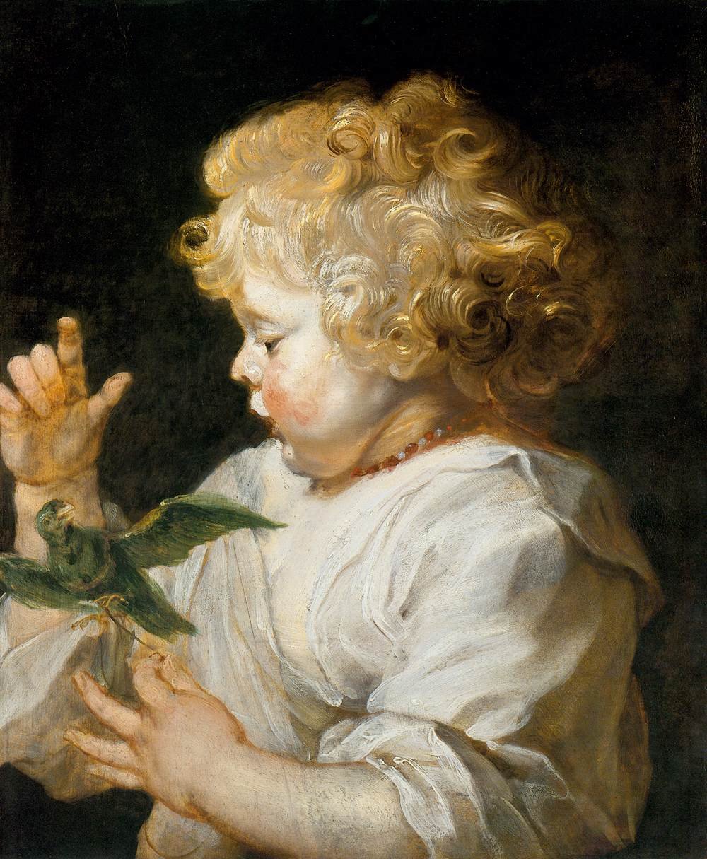 Dreng med fugl af Peter Paul Rubens