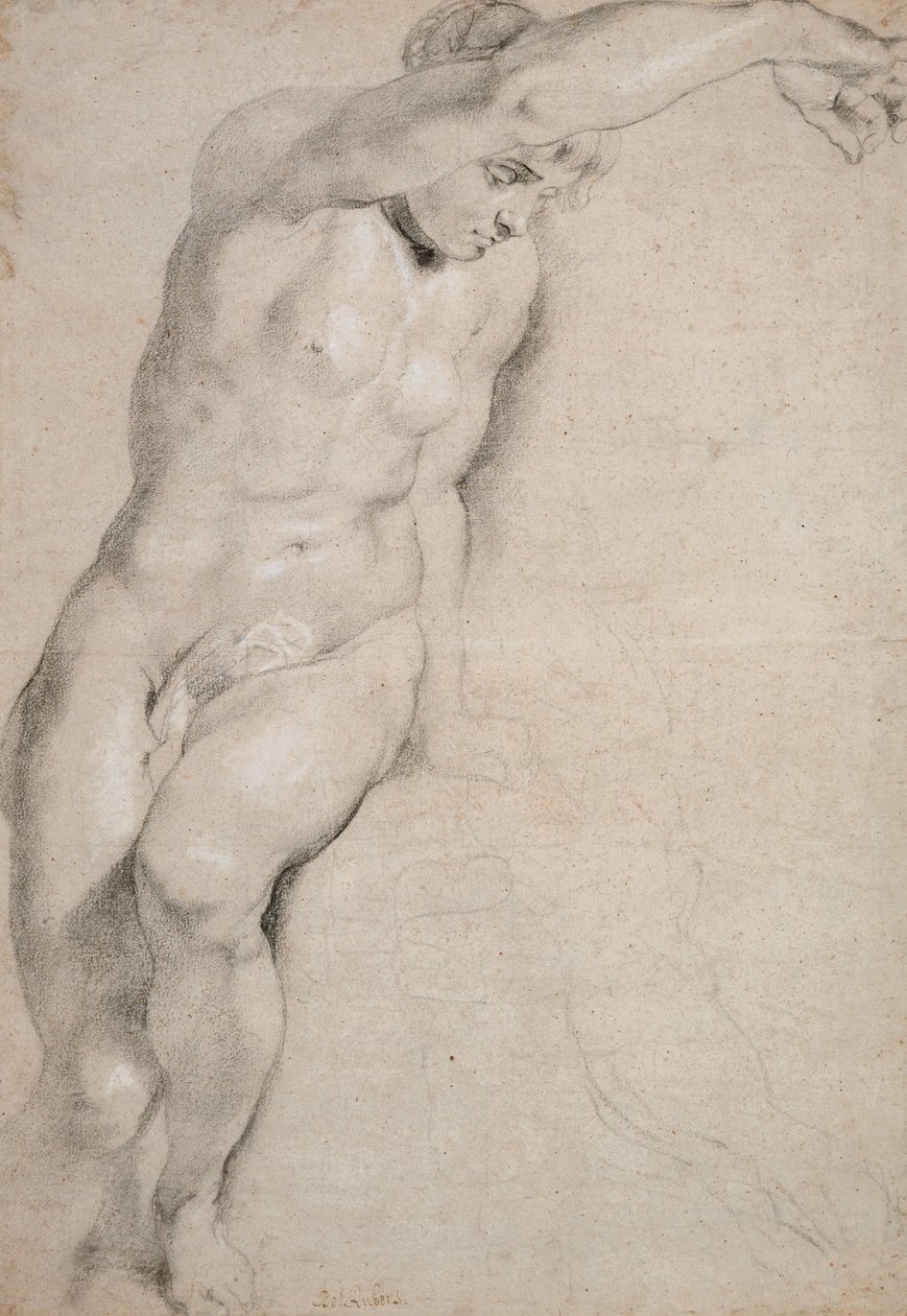 Psyke af Peter Paul Rubens
