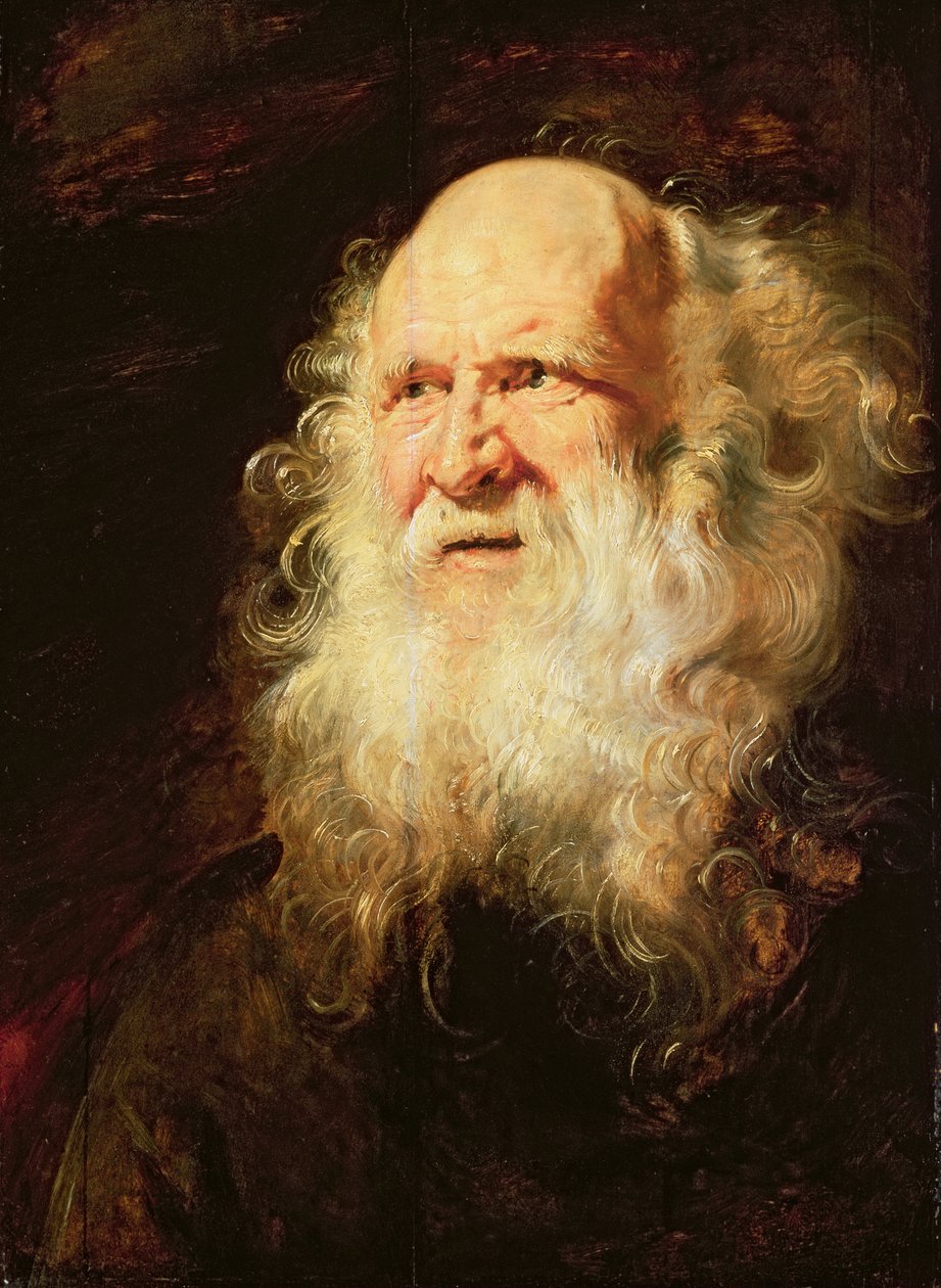 Studie af en gammel mands hoveder, ca. 1612 af Peter Paul Rubens