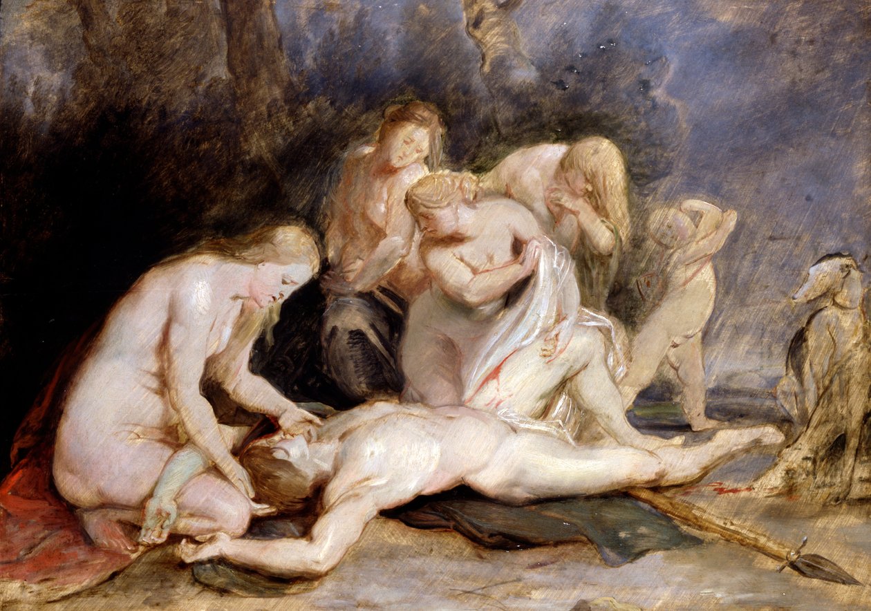 Venus sørger over Adonis af Peter Paul Rubens