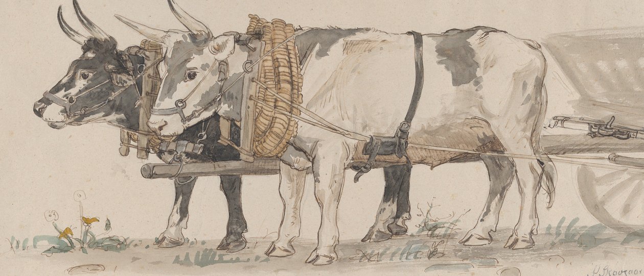 To okser trækker en vogn, 1874. af Peter Christian Thamsen Skovgaard