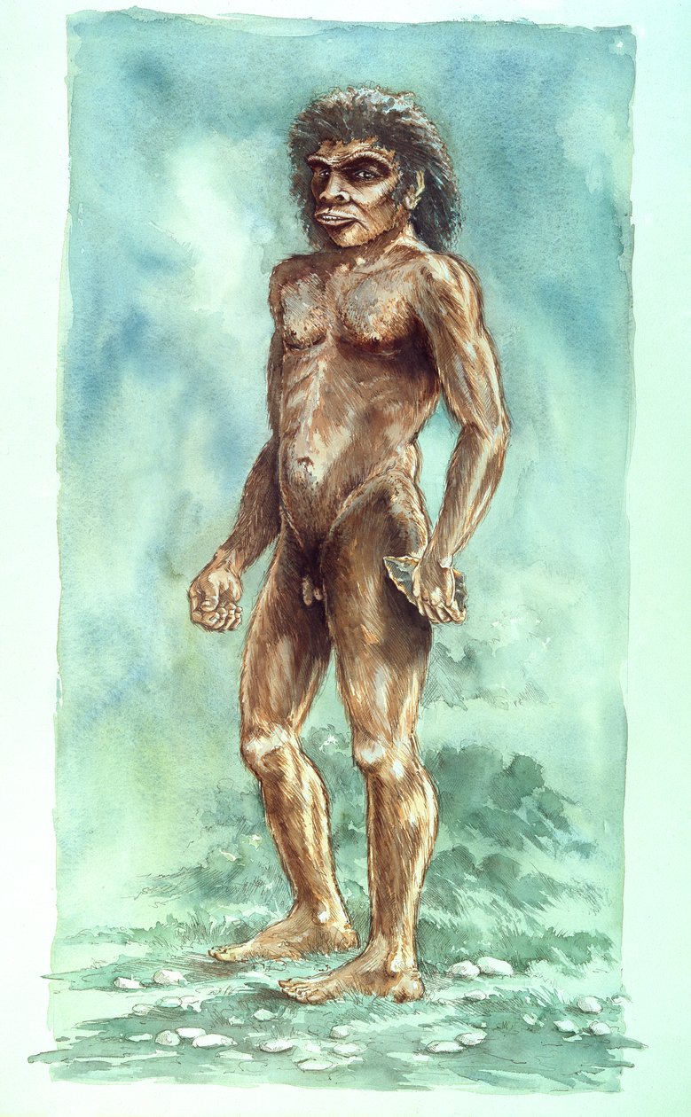 Boxgrove Man, forhistorisk, 1990-2010 af Peter Dunn