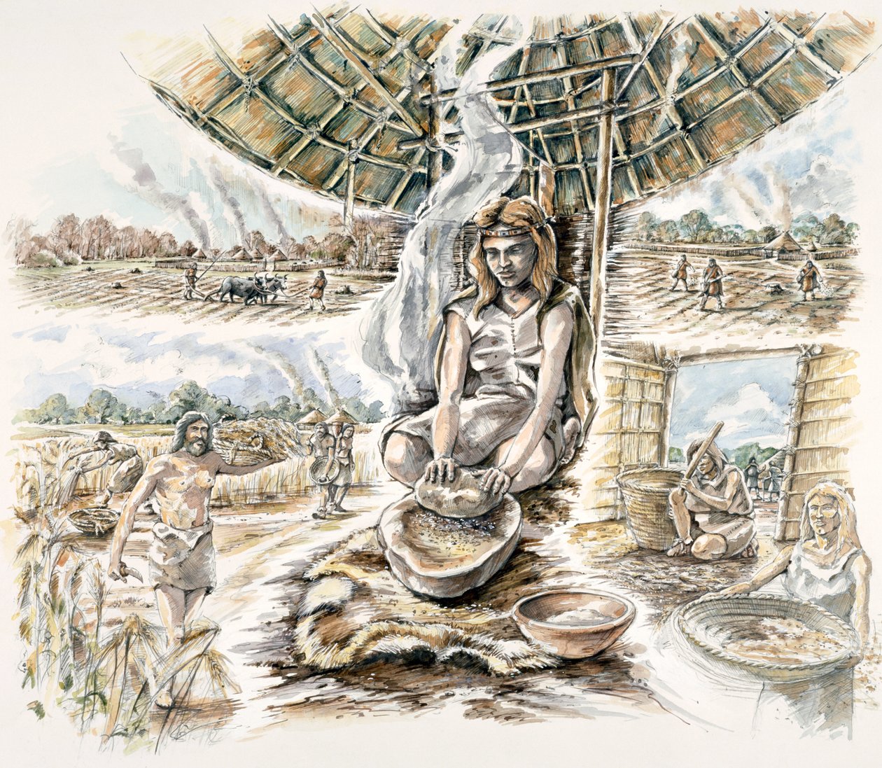 Neolitisk kornproduktion, c1990-2010 af Peter Dunn