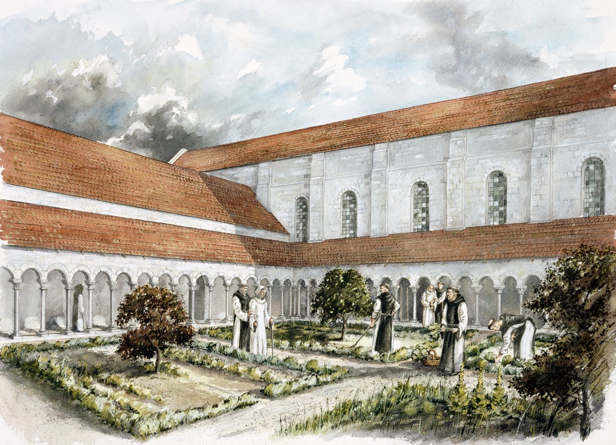 Rievaulx Abbey, midten af det 13. århundrede, c1990-2010 af Peter Dunn