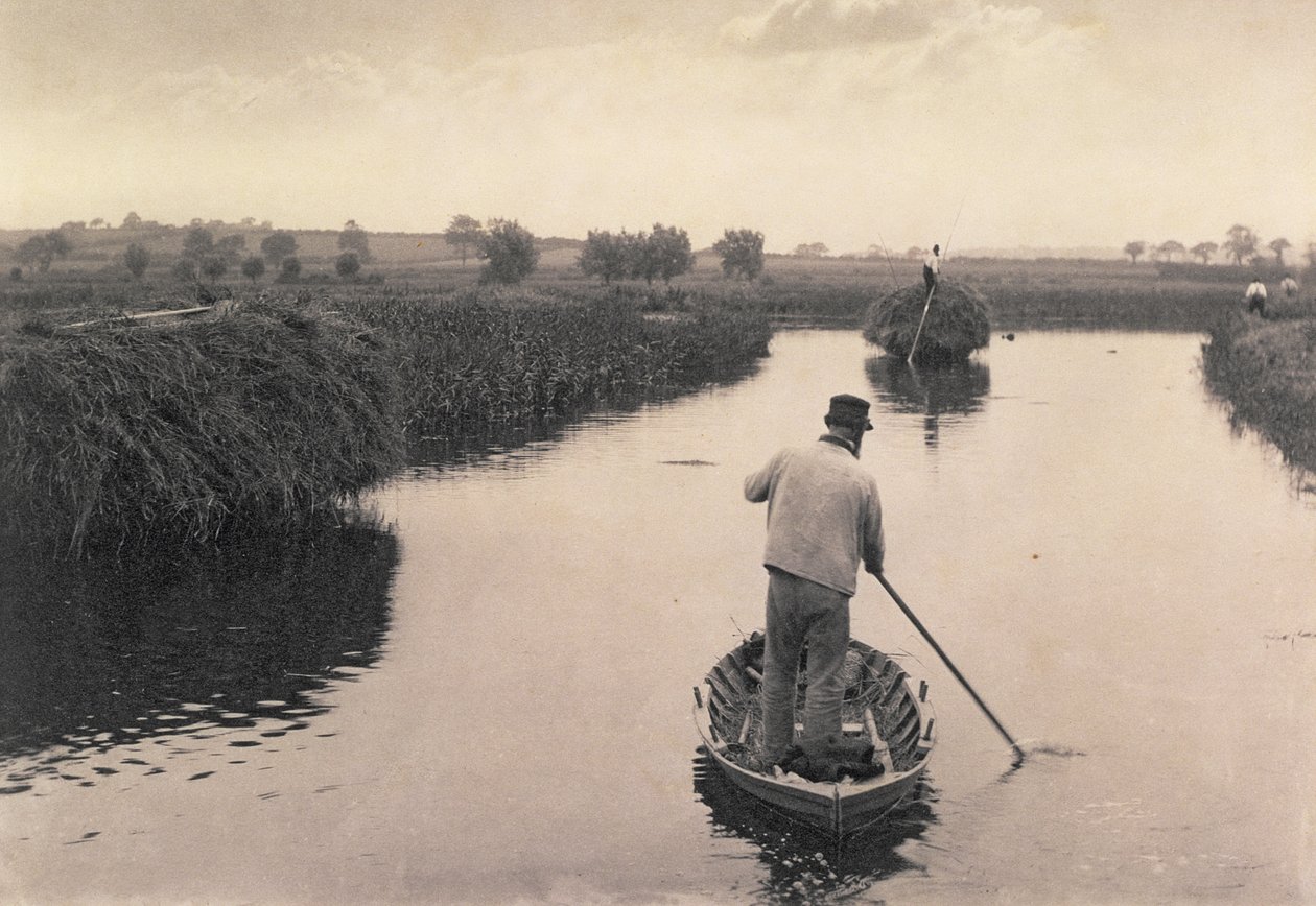 Quartering the Marsh Hay, Life and Landscape on the Norfolk Broads, c.1886 af Peter Emerson und Thomas Goodall