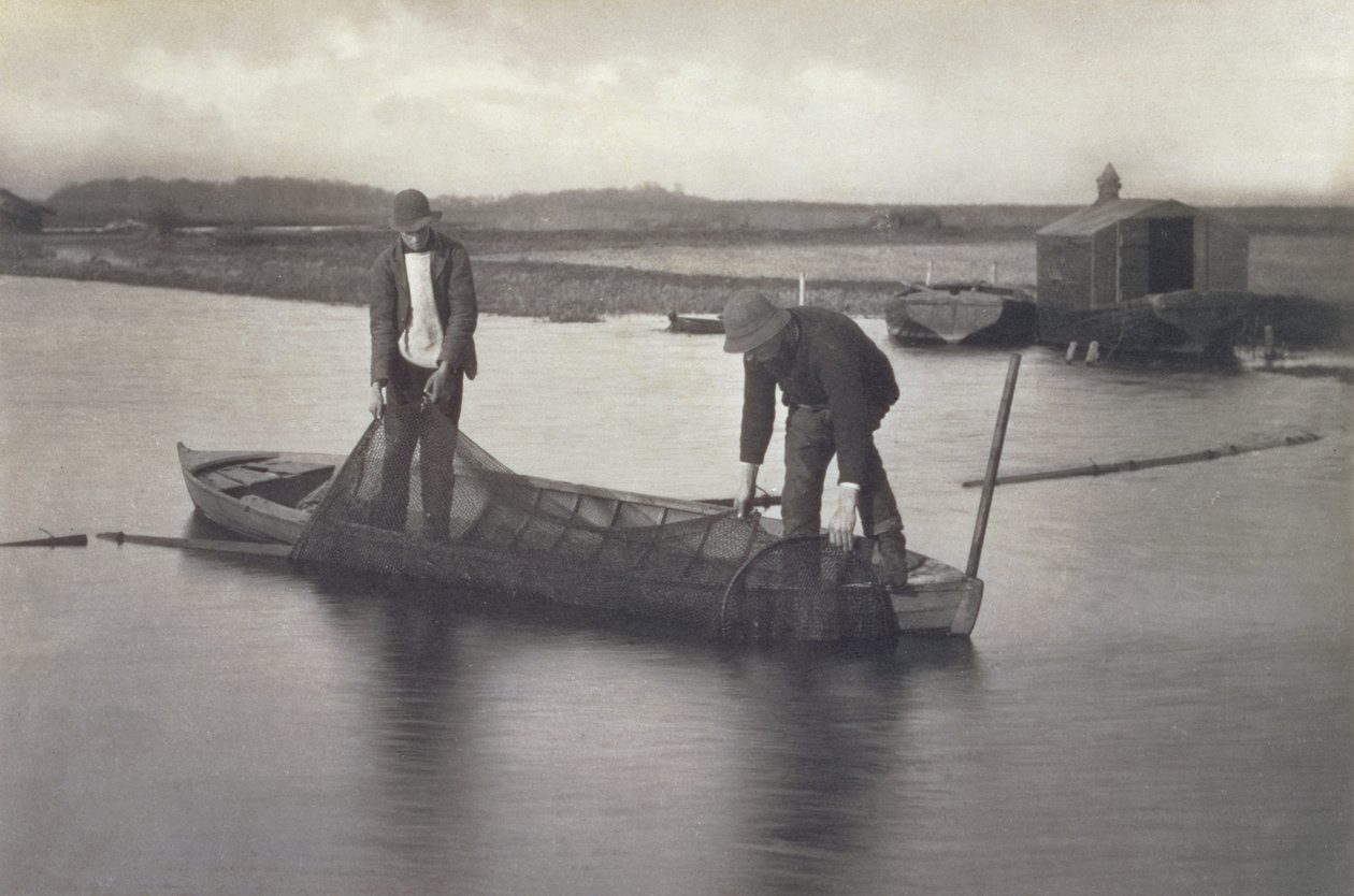 At tage ålenettet op, c.1886 af Peter Emerson und Thomas Goodall