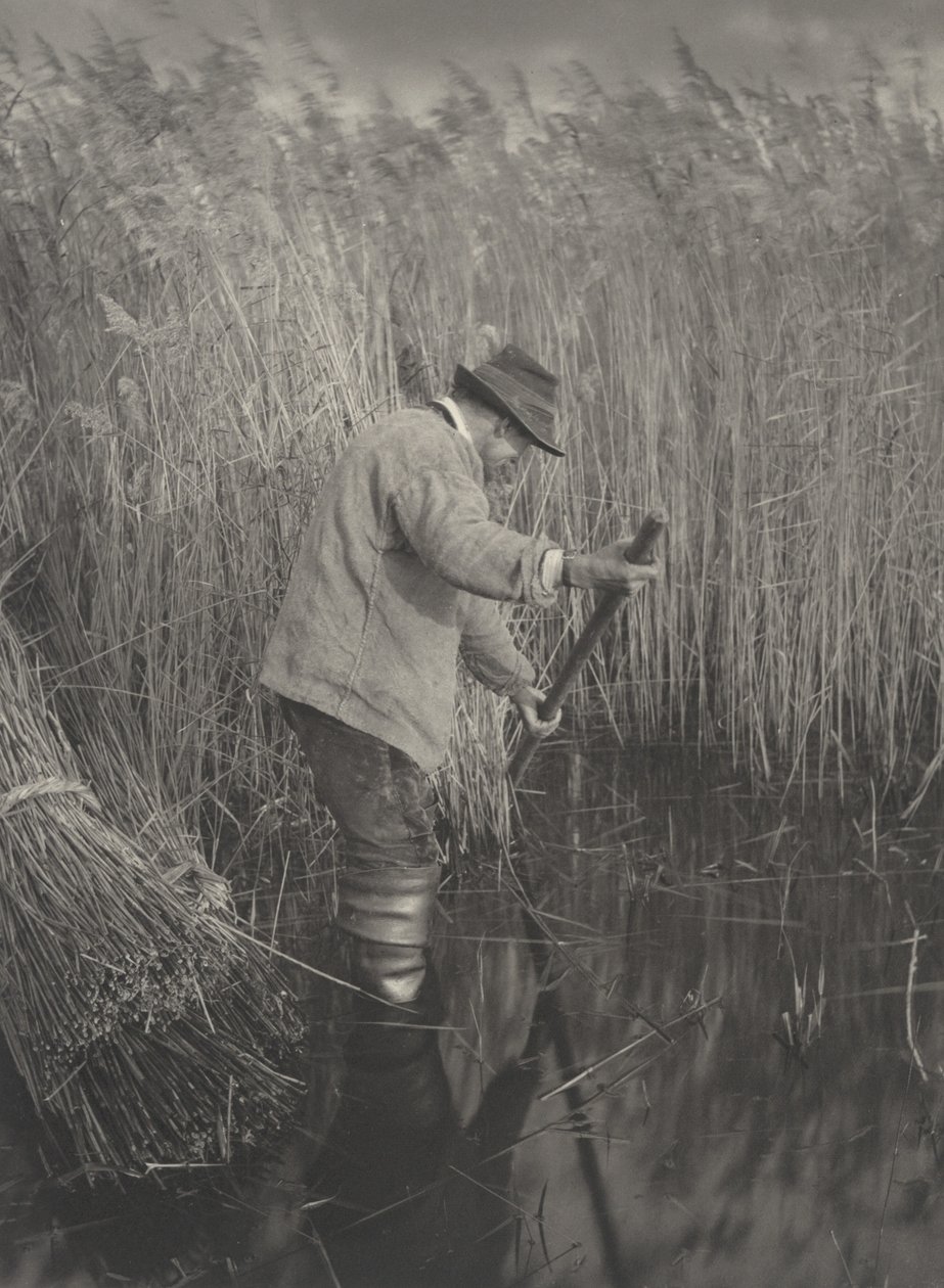 A Reed-Cutter at Work, 1886. Skabere: Dr. Peter Henry Emerson, Thomas Frederick Goodall. af Peter Henry Emerson, Thomas Frederick Goodall