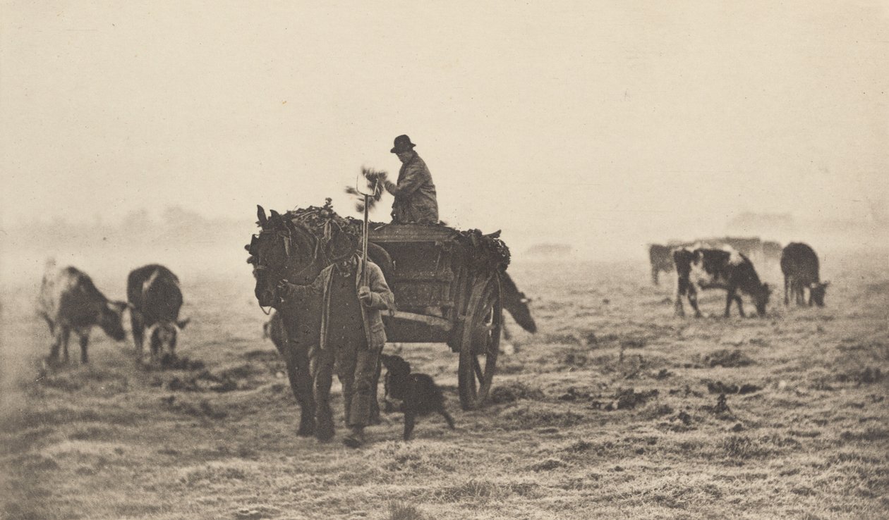 A Frosty Morning, 1890-1891, trykt 1893. af Peter Henry Emerson