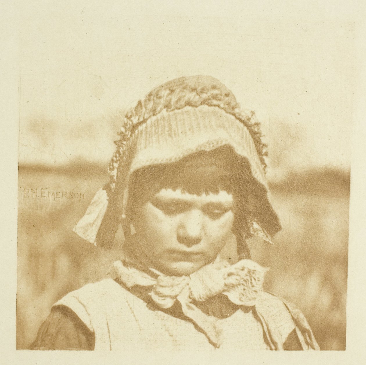En Norfolk-blomst af Peter Henry Emerson