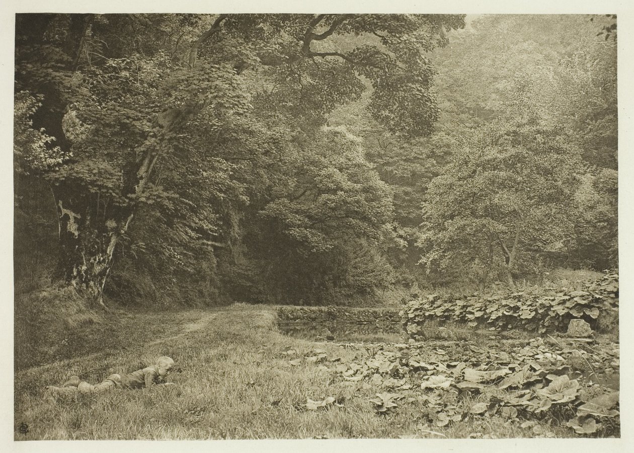 En stille krog i Beresford Dale af Peter Henry Emerson