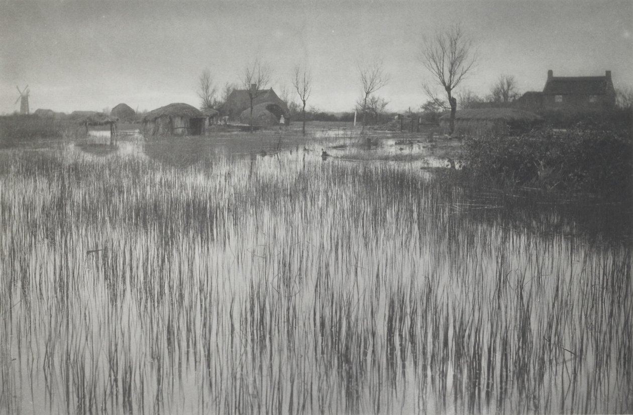 En ruskete kyst af Peter Henry Emerson