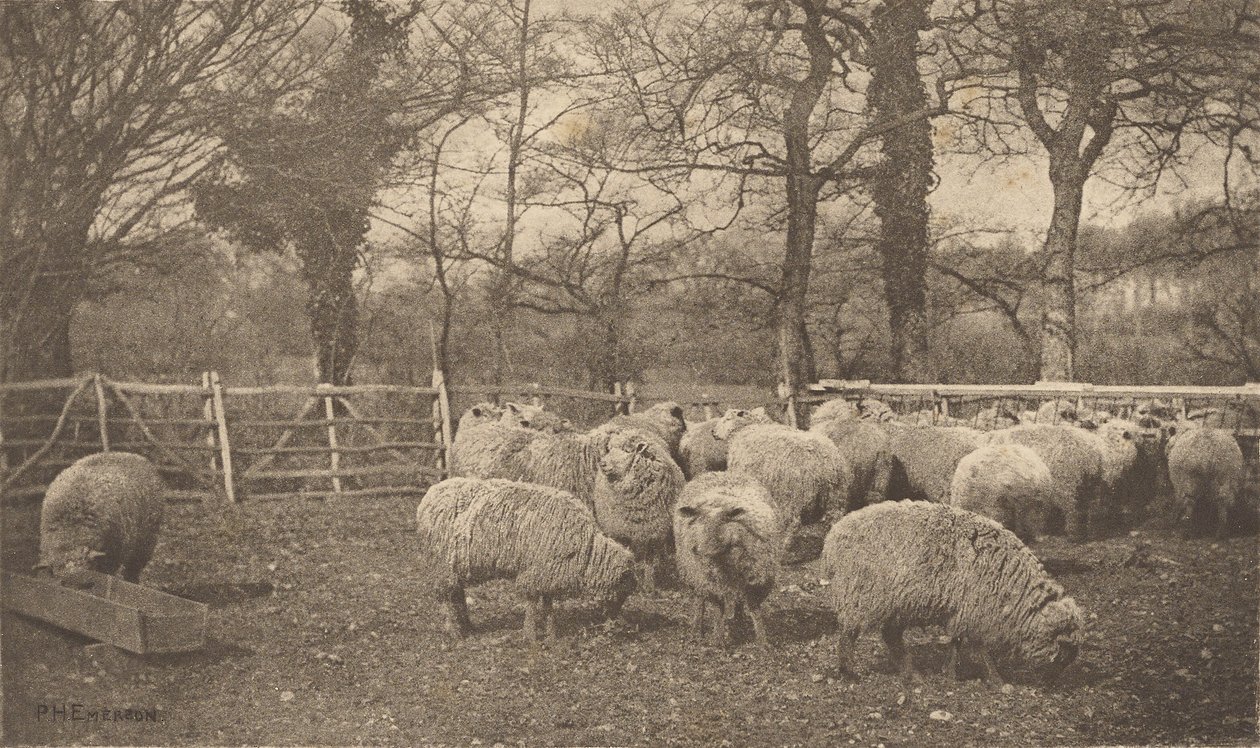 En efterårspastorale af Peter Henry Emerson
