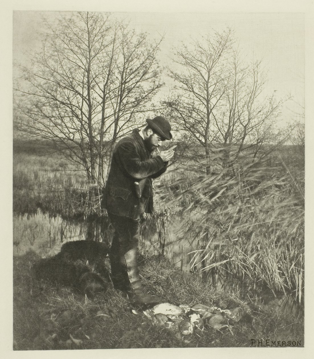 At the Covert Corner (Norfolk) af Peter Henry Emerson