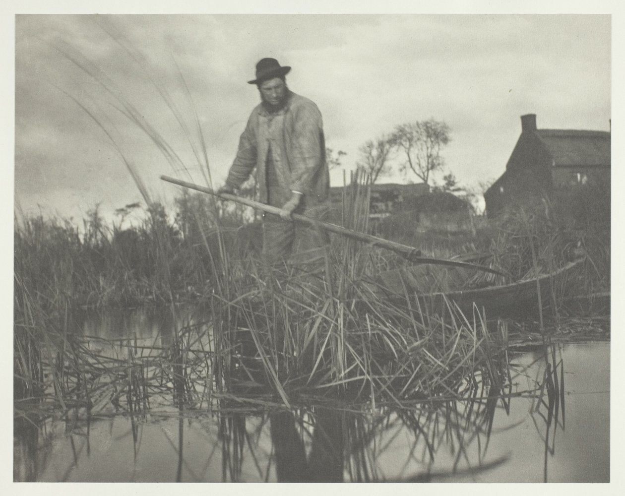 Skæring af Gladdon af Peter Henry Emerson