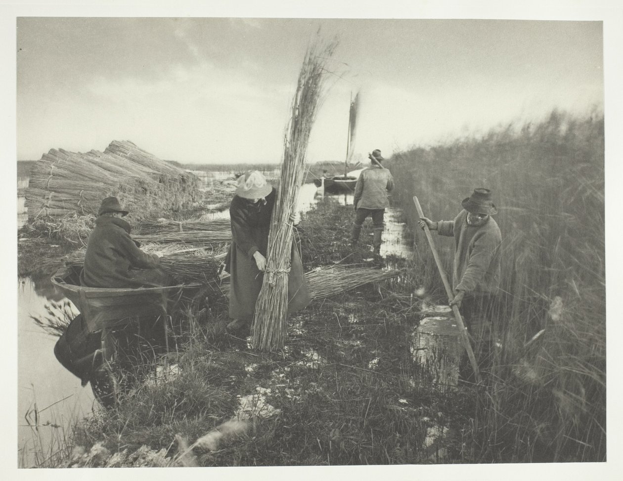 I løbet af rørhøsten af Peter Henry Emerson