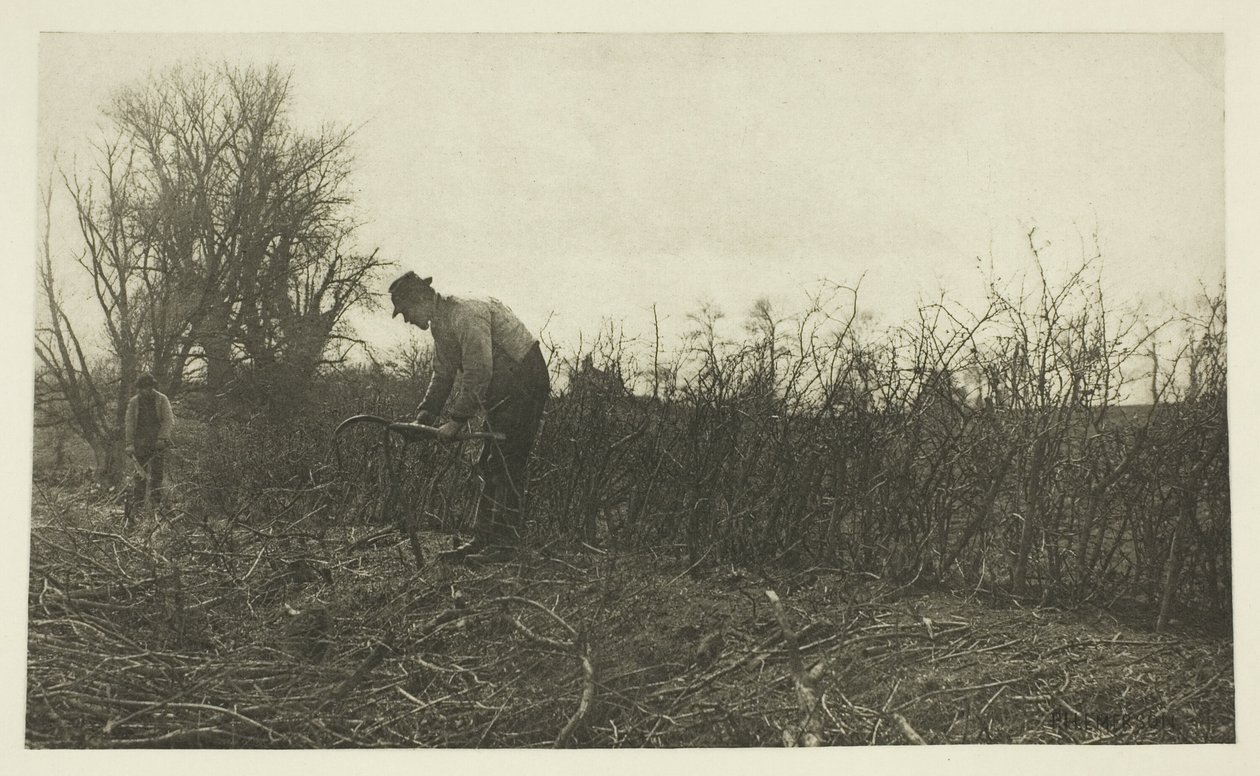 Fægtning i Suffolk af Peter Henry Emerson