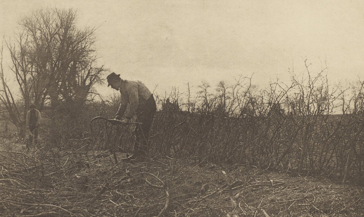 Hegn i Suffolk af Peter Henry Emerson
