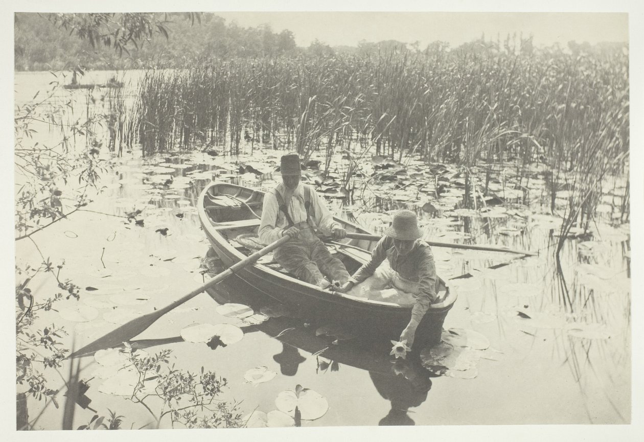Indsamling af åkander af Peter Henry Emerson