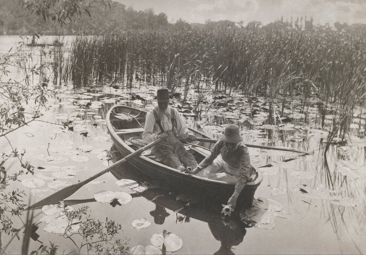 Indsamling af vandliljer af Peter Henry Emerson